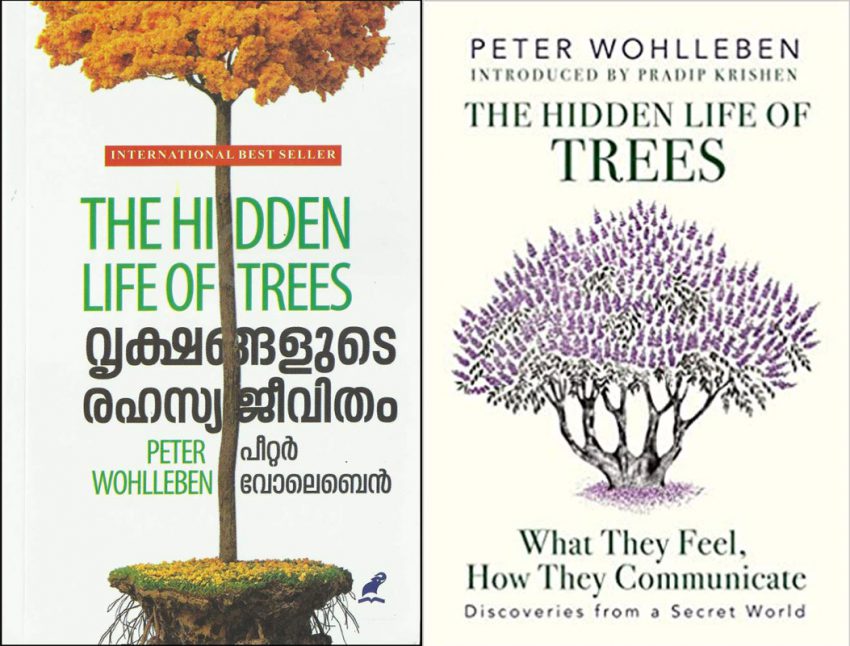The Hidden Life of Trees Peter Wohlleben